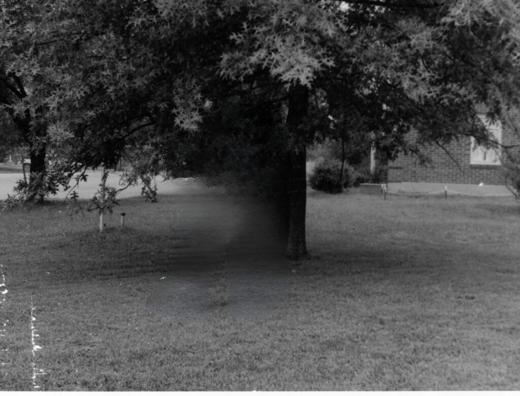 Dubbed the Kissing Tree - Prichard Place, Fort Knox, KY