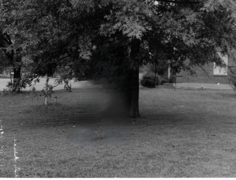 Dubbed the Kissing Tree - Prichard Place, Fort Knox, KY